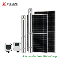 Pompe à eau solaire immergée WHC SOLAR pour puits de 4 pouces, 12V, haute pression, pompes solaires DC