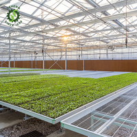 Banc roulant mobile de table de serre intelligente pour semis/élevage utilisé pour le plateau Microgreen dans la serre verte