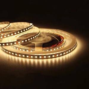 24V 铜质 LED 灯条 2835 3mm 5mm 6.8mm 8mm 120灯/米 160灯/米 6000K 日光色 IP20 客厅家居装饰 - Product Image 1