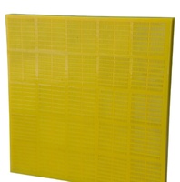 Maille de tamis en polyuréthane sur mesure pour tamis vibrant 2YS2460, panneau PU interchangeable pour l'exploitation minière, procédé de moulage