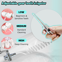 Hydropulseur personnalisé pas cher OEM/OEM nettoyage des dents appareil dentaire jet irrigateur Oral eau Pick