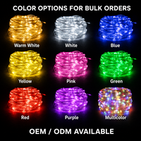 Guirlandes lumineuses LED en PVC commercial avec options d'alimentation solaire ou basse tension 24V