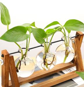 Stazione di propagazione delle piante delle piante acquatiche della decorazione dell'ufficio domestico di larghezza di 11 pollici con il supporto di legno - Product Image 2