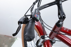 Scooter de marque, Vélo tout-terrain, Vélo de montagne, Vélo électrique, Vélo Cruiser, Vélo Cruiser PAS - Product Image 6