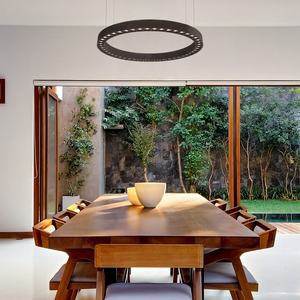 Fabricant chinois de luminaires suspendus linéaires circulaires à LED de 1300 mm de diamètre avec revêtement en poudre RAL DALI 1-10V Dim UGR<13 - Product Image 2