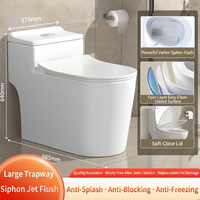 WC monobloc en céramique blanche, à poser au sol, à double chasse, à jet siphonique, cuvette allongée, pour salle de bain d'hôtel