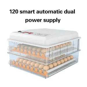 Tolcat 256 Eggs Chicken Incubator New Design Mini Egg Incubator Machine Automatic Farming Equipment Incubators Hatching Solar