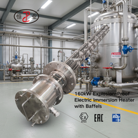 Chauffe-eau immergé antidéflagrant 160 kW avec gaine en acier inoxydable SS316L à déflecteurs pour réservoir d'huile, cuve de stockage de gaz et chauffage de process chimiques