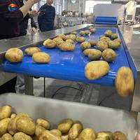 Fabrieksleverancier aardappelwas-, schil- en snijmachine, op maat gemaakte aardappelproductielijn