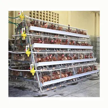 التلقائي الصناعية الرخيصة طبقة كبيرة Atype قفص الدجاج منزل قفص دجاج صغير لزرع الدجاج