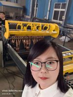 Cnc Animal 3d Cages Brick Force Rouleaux automatiques Machine de soudage de treillis métallique inoxydable