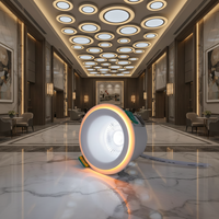 Plafonnier LED encastré bicolore 8W+8W, spot LED