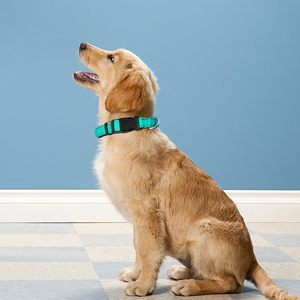 Pwod Reflective <b>Dog</b> <b>Collar</b> Medium Adjustable Nylon With Buckle For Medium <b>Dogs</b> Teal - Product Image 2