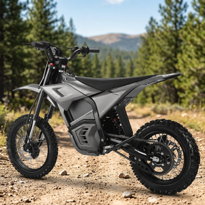 Venta de Fábrica: Nuevo Motor Eléctrico Industrial Sin Escobillas con Engranajes EM5 Dirk de 48V 2500W, de Acero Inoxidable, para Bicicletas de Montaña Eléctricas Juveniles Todoterreno - Product Image 3