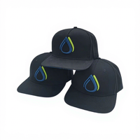 OEM High Quality 6 Panel Outdoor Sporty Hat 100% Cotton Gorras Flat Brim Custom Floral Embroidery Hip Hop Snapback Cap Parties
