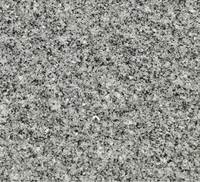 Peinture en aérosol de revêtement en pierre de granit acrylique de qualité industrielle, résistante et durable, résistante aux taches, pour les murs extérieurs des ateliers