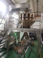 Machine de remplissage et d'emballage de capsules de lessive, ligne d'emballage en boîtes Plastix