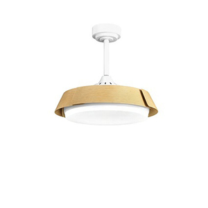 Moderne Luxe Créatif 42 Pouces Fréquence Salon Conversion Lustre Led Ventilateur Lumière Plafonniers - Product Image 1