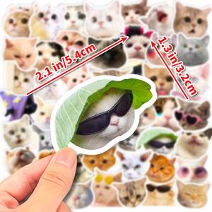 Pegatinas Personalizadas YR1624 Impermeables de un Solo Uso, 50/100 Unidades, con Memes de Gatos Divertidos y Lindos para Botellas de Agua, Laptops, Teléfonos, Equipaje, Guitarra - Product Image 5