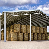 Chine Structure en acier préfabriquée Construction maison abri d'auto chenil pour chien entrepôt de ferme isolé grange à foin stockage ferme urbaine