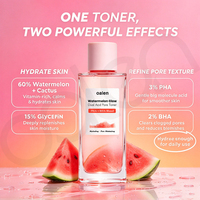 Tonique visage Luxfume Private Label PHA BHA hydratant et exfoliant, infusé à la pastèque, à l'eau de cactus et à la glycérine pour une peau lisse