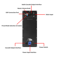 Module d'amplificateurs de puissance de classe D Sono DM Series 2 voies avec DSP 1000W 800W 600W 400W pour haut-parleur actif et subwoofer avec boîtier métallique