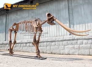 MY DINO AS035 Musée Expositions Éducatif Préhistorique Animal Squelette <span class=keywords><strong>Mastodon</strong></span> - Product Image 5