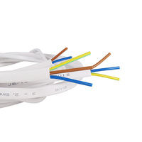 300/500V BS6004 6242y PVC-Flach-Doppel-und Erdung kabel 4mm 6mm 10mm elektrische Kabel für die Haus verkabelung