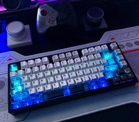 ATTACK SHARK X68HE AULA F75 Mchose ACE60 FGG MAD 60 MAD68 Aula Win60 Ajazz AK820 Hot Sublimation Transparent Keycaps Keycap