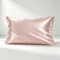 Taie d'oreiller en soie de mûrier en gros, grade 6A, 19 momme, avec fermeture éclair, emballée en coffret cadeau pour les distributeurs de cadeaux, de textiles de maison et de spa