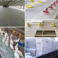 Plancher en plastique à lattes pour volailles, en PP épaissi, pour l'évacuation du fumier de canard, oie, pigeon, dinde, caille, pour élevage en cage