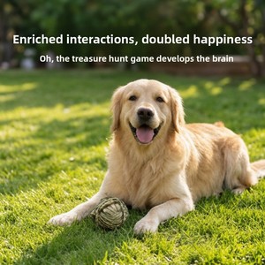 Juguete de Pelota de Paja para Perros - Rompecabezas de Enriquecimiento Ambiental, Trabajo Olfativo, Cuidado Dental y de Dientes para Cachorros - Product Image 2