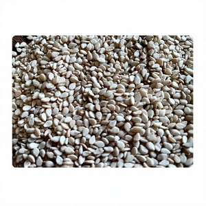 Indian Natural White Sesame Seeds Low Rate High Food Grade 48% Oil Content Flattened Pear Shape Origin in India - Product Image 1
