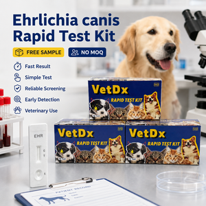 Kit de Prueba Combinada de Anticuerpos para Ehrlichia, Lyme y Anaplasma en Perros, Prueba Rápida en Casete EHR <span class=keywords><strong>LYM</strong></span> ANA - Product Image 6