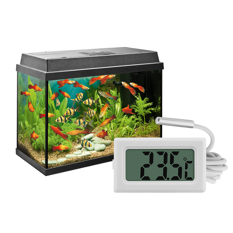 Thermometer Indoor Wholesale High precision Pointer