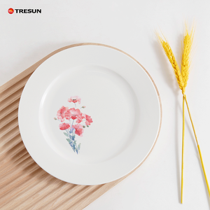 Platos Planos Redondos de Porcelana Cerámica Blanca Pura de 10.5 Pulgadas, Juego de Platos de Cena para Restaurante, <span class=keywords><strong>Precio</strong></span> Económico al por Mayor - Product Image 4