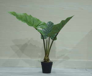 Plantas Artificiales en Macetas, Árbol Artificial Grande, Follaje de Filodendro Sintético, <span class=keywords><strong>Hojas</strong></span> de Taro Verdes, Bonsái con Aspecto de Nudos Realistas - Product Image 4