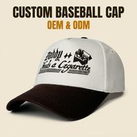 Casquettes de golf et de baseball ajustables à 5 panneaux, structurées, bicolores, en coton 100%, avec logo brodé 3D personnalisé, pour femmes et hommes, vente en gros