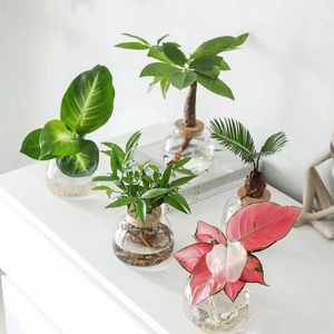 Vase <span class=keywords><strong>en</strong></span> verre borosilicate de haute qualité, résistant à la chaleur, <span class=keywords><strong>pot</strong></span> hydroponique avec couvercle <span class=keywords><strong>en</strong></span> liège pour la décoration intérieure et les cadeaux (vente <span class=keywords><strong>en</strong></span> gros) - Product Image 4
