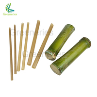 Sans plastique Sans BPA Sucre de Canne Bagasse Sans Emballage Saveur PHA Pailles Légumes Avocat Fibre Paille à Boire