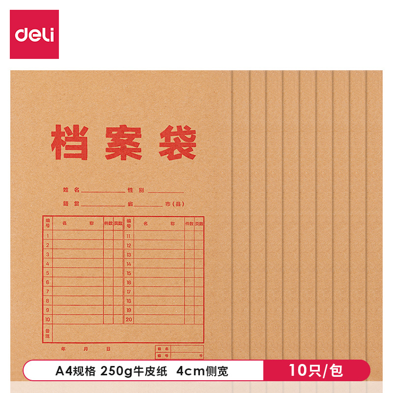 8384 File Folder, Yellow, 10 Folders, Side Width 4cm