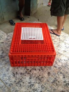 Plastic Poultry Transport Cage and Turnover Crate - Product Image 2