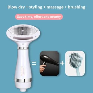 Taşınabilir Pet temizlik bakım ürünleri elektrikli darbe kuru temizleme Denoise kedi köpek epilasyon hayvan kurutma makinesi - Product Image 6