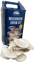 Boîtes d'emballage en carton ondulé pour kit de culture de champignons de la mer biologiques avec impression personnalisée