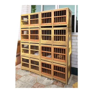 Boîte portable en plastique, nouveauté, nid amovible, livraison gratuite - Product Image 5