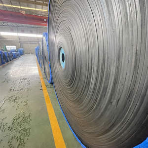 Verimli sistemler için uzun ömürlü Polyester ve naylon desen konveyör bant - Product Image 5