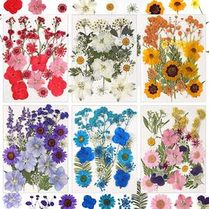 Große Masse echte getrocknete gepresste Blumen bunte Botanicals für DIY Harz Handwerk Nail Art Hochzeit Dekore Lesezeichen - Product Image 1