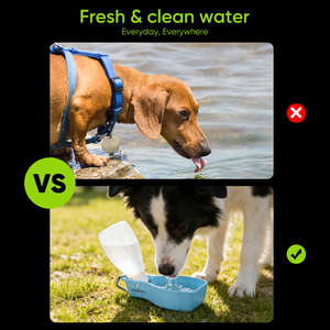 Kind Portable Modern Pet Water Bottle with Bowl for Dogs Cats Outdoor Travel Use <b>Plastic</b> Design - Product Image 6