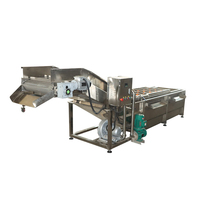 Fruitwas- en sorteermachine, geïntegreerd reinigen, sorteren, verheffen, voor appels, citrusvruchten etc.