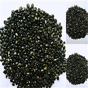 Masterbatch màu đen với tàu sân bay cho vật nuôi PVC PP PE ABS PA PC EVA ép phun lớp thổi đúc lớp phim thổi lớp - Product Image 1